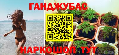 индика Будённовск