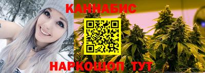 индика Будённовск