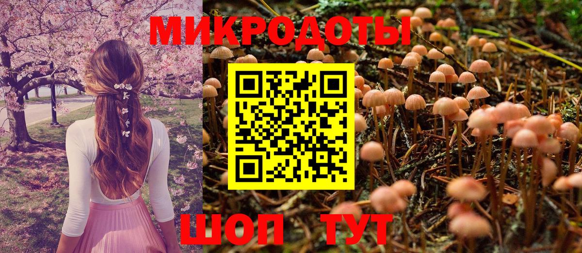 Псилоцибиновые грибы GOLDEN TEACHER Сызрань