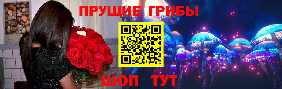 Сызрань  Галлюциногенные грибы прущие грибы  Вход с VPN  Галлюциногенные грибы GOLDEN TEACHER 